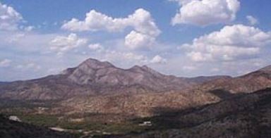 Bosque XerofÃtico