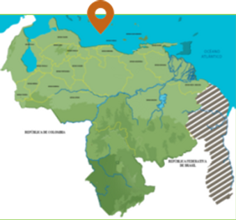 Roques.png