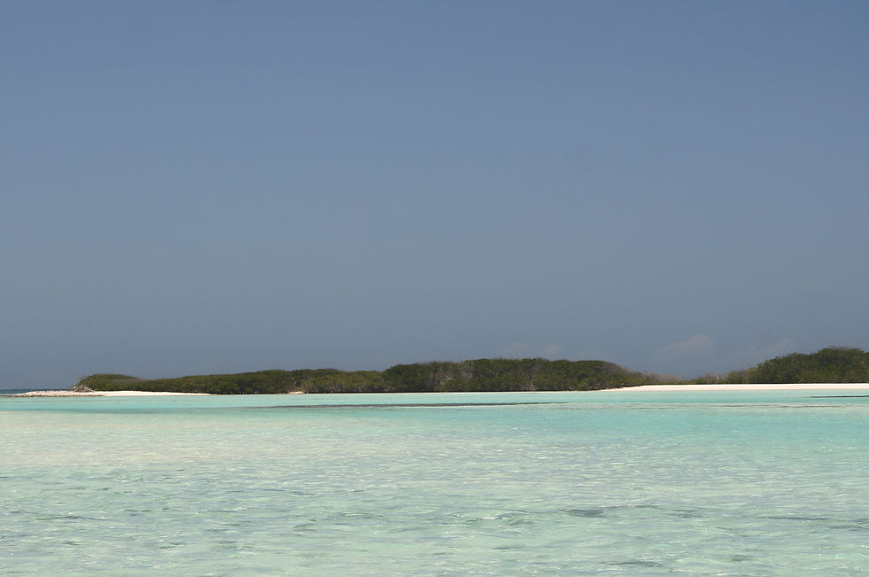 Playa El Yaque, La Tortuga