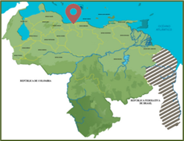 MN Pico Codazzi.png