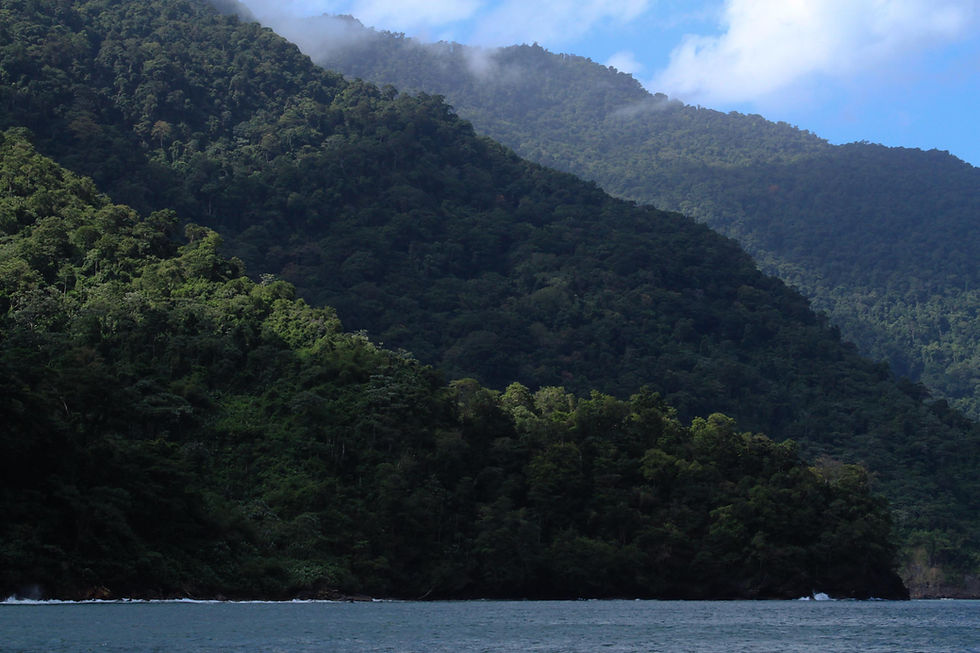 Selva Costera de Paria
