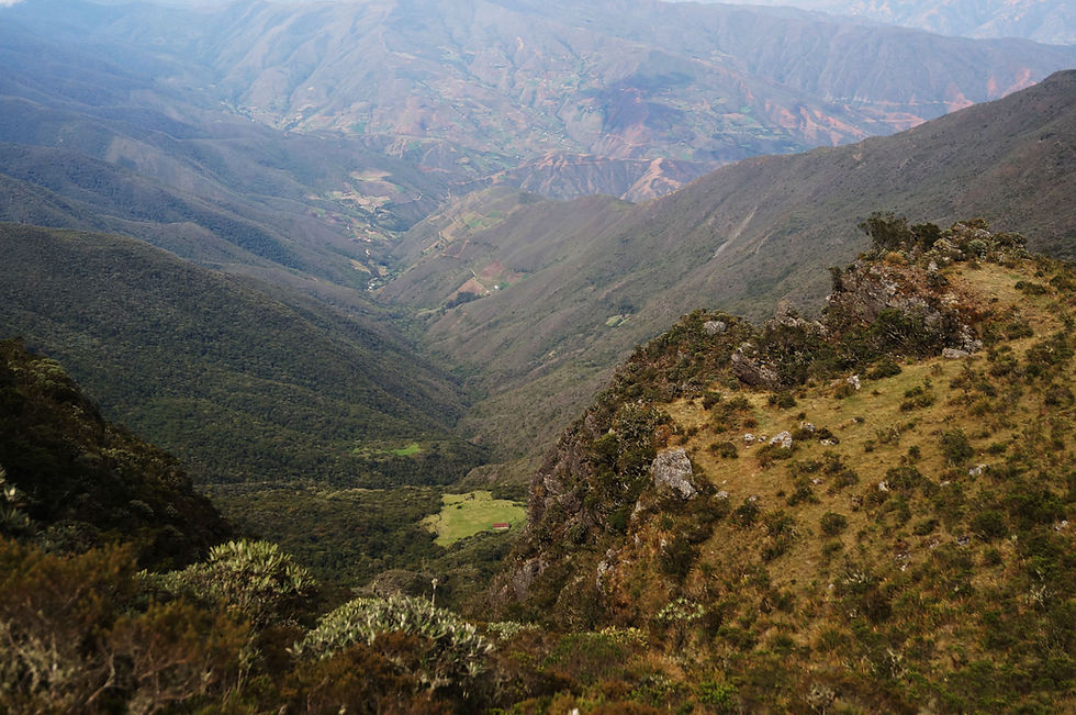 Pisos bióticos en Los Andes