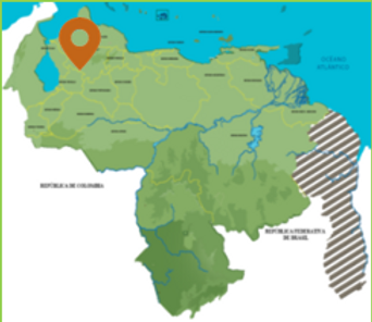 Dinira Local.png