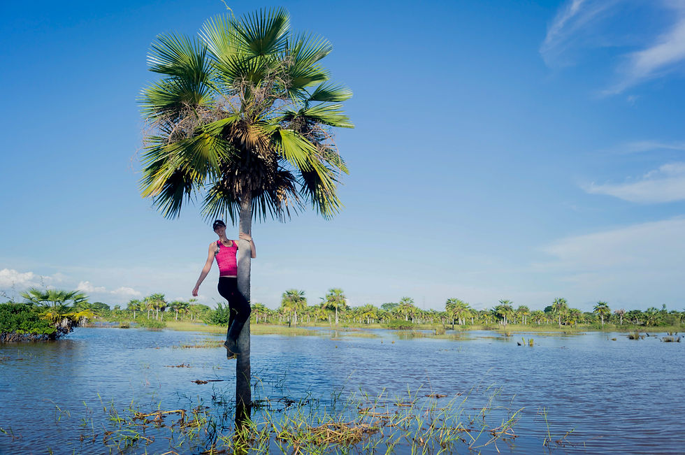 Palma de Moriche, Estero de Camaguán