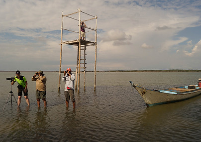 Observación de aves en la Ciénaga de Los
