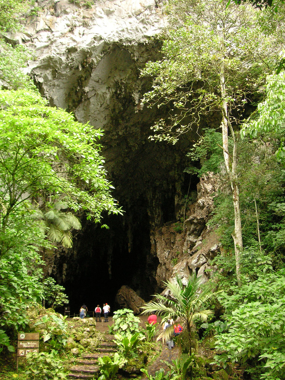 Entrada a la Cueva del Guácharo