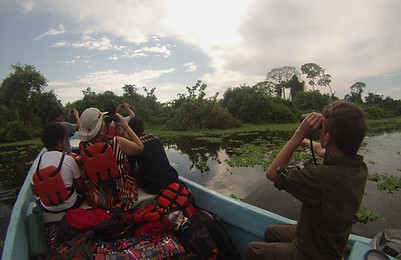 Observación de aves en Caño Maroma