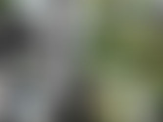 Review: Siichaq's "Catcher" sees singer-songwriter Kennie Mason embarking on a balanced exploration through the depths of her own mind, from languid balladry to abrasive noise.