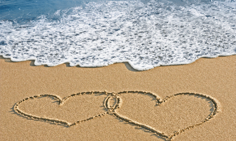 1020090.gif