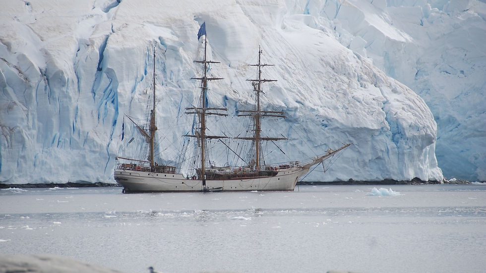4270613-antarctic-3026822