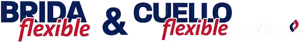 logo.png.avif