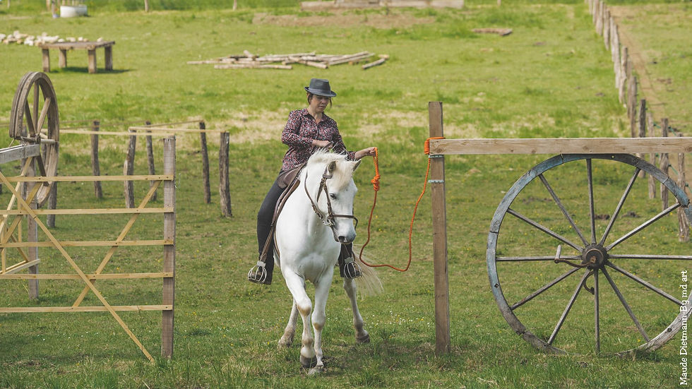 Stage Équitation de Travail