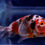 Thumbnail: Calico Bubble-Eye Goldfish BE32