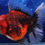 Thumbnail: Calico Orchid-Tail Oranda CO107
