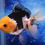 Thumbnail: Panda Oranda (Male) PO27