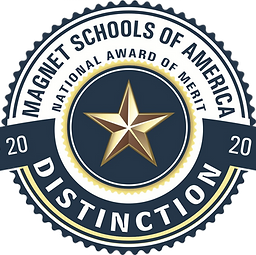 magnet distinction.png
