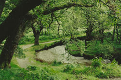 tumblr_msxlurIBDY1svrh8zo6_1280