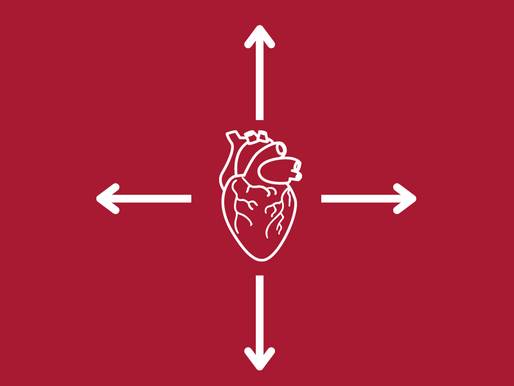 Jak elektrody łączą się ze sobą w  odprowadzenia w EKG?
