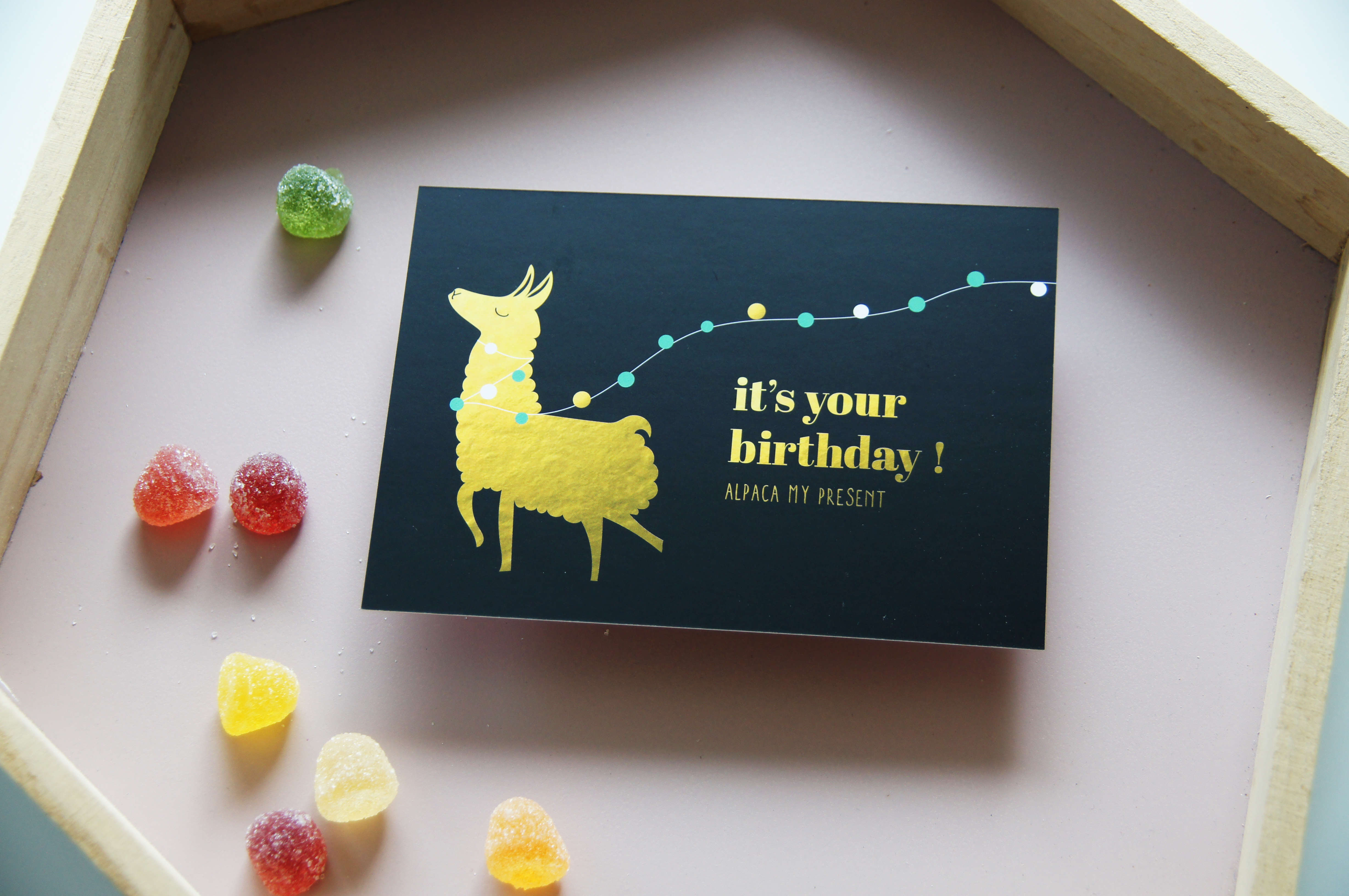 alpaca my present