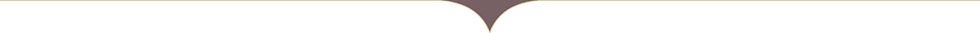 top divider - browntop.png