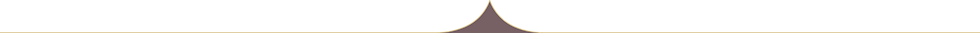 top divider - brownbottom.png