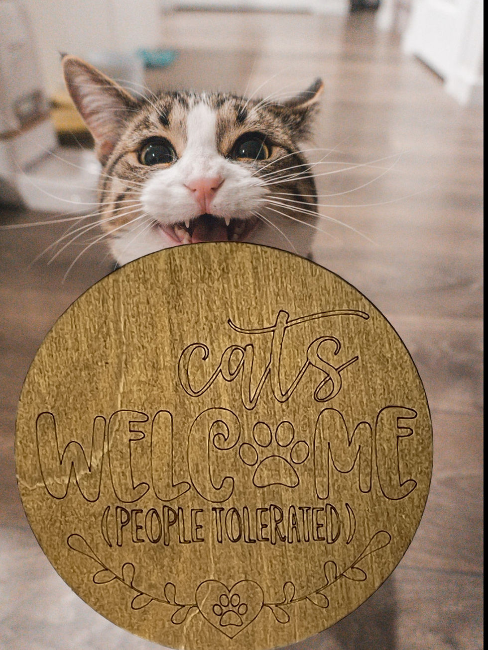 cats welcome, people tolerated
