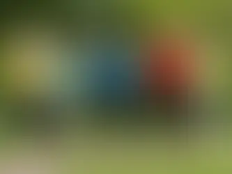 Fitness for All: Tailoring Exercise Advice for Every Age Group