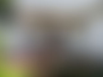 Front Yard of Anokhi garden Homestay