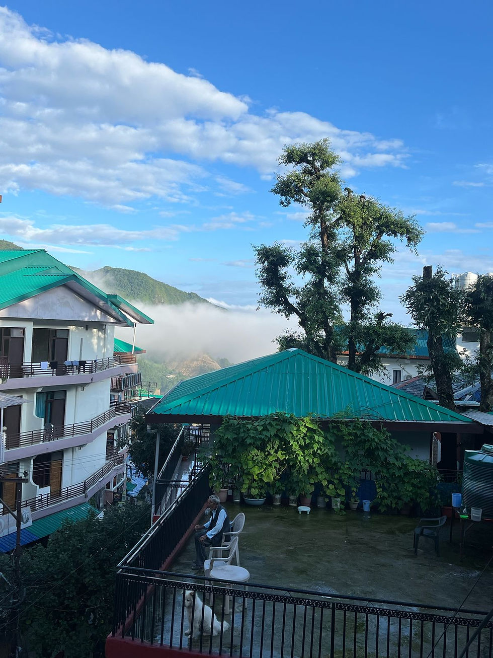 WhatsApp Image 2025-02-21 at 2.13.38 PM.jpeg