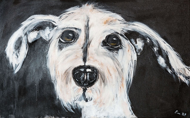 tiere-atelier-rita-hund-weiss.jpg