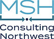 MSH_consulting_logo.jpg