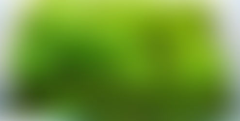 Cultivo de Plantas de Aquário na Forma Emersa