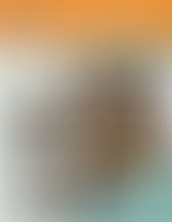 Exposition à Vire (14)