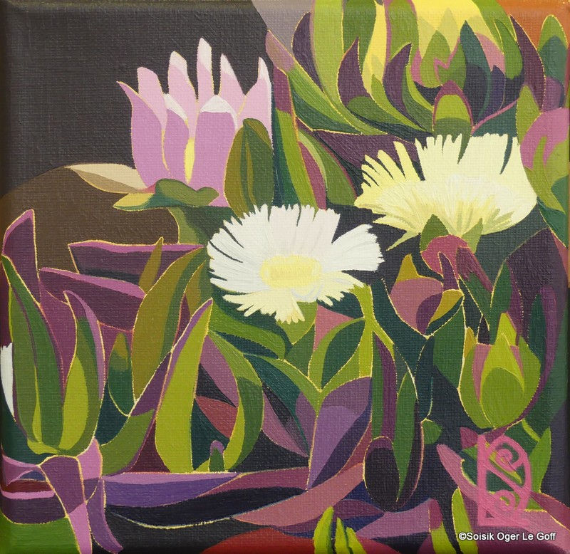 Fleurs du littoral