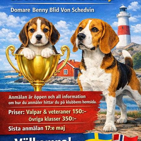 Utställning Strömstad