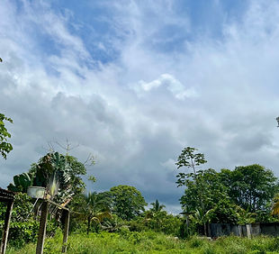 image00024.jpeg