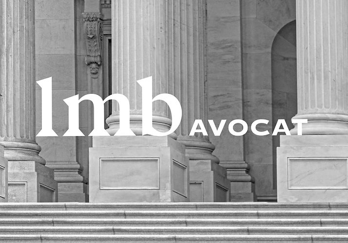 lmb-avocat-logo-palais-de-justice-jean-charles-abrial.jpeg