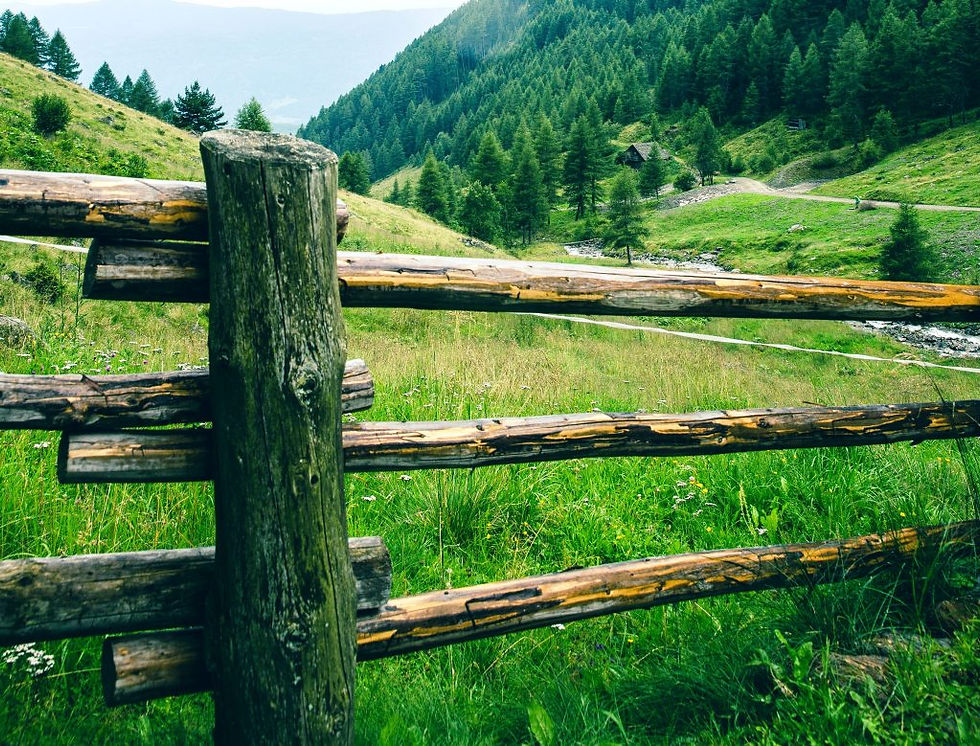 A Fencing along the boundary