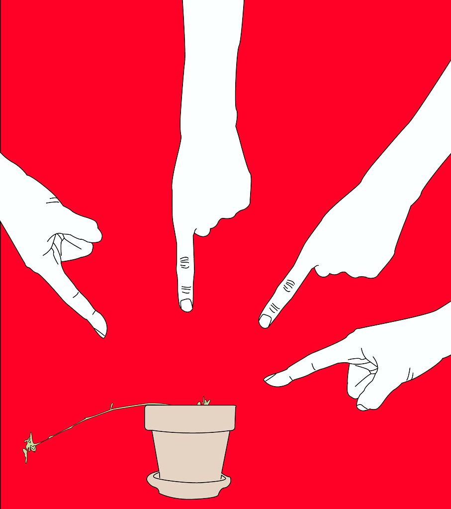 People pointing fingers at a small plant which is has died