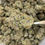 Thumbnail: PUFFY THC-A EXOTIC INDOOR HYDRO FLOWER (4g)