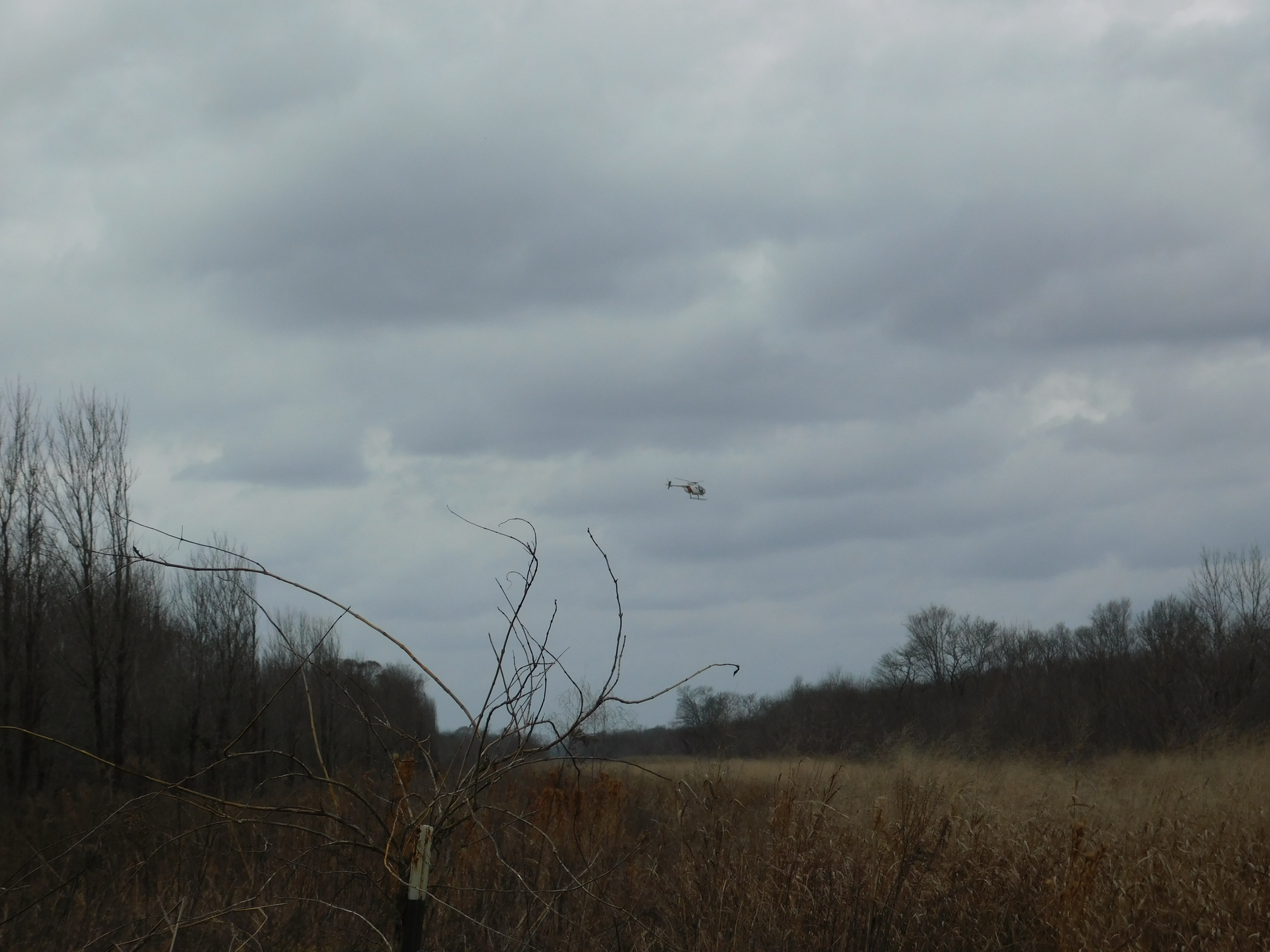 DSCN0363