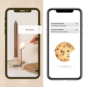 Untitled design2.jpg