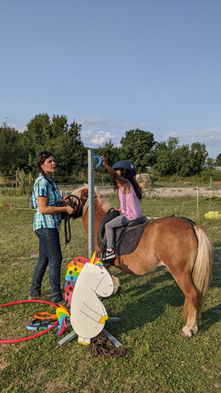 Comment se déroule une séance d’équithérapie ?