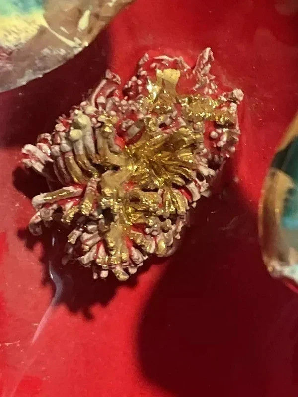 Ancienne lampe Vallauris en céramique rouge en forme de coquillage et poisson