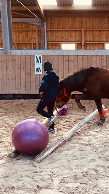 Pourquoi un cadre est essentiel en équithérapie ?