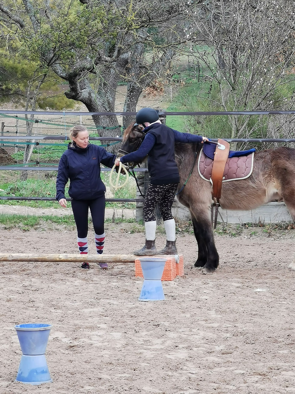 Une approche de soin reconnue (fondements, formations, cadres)