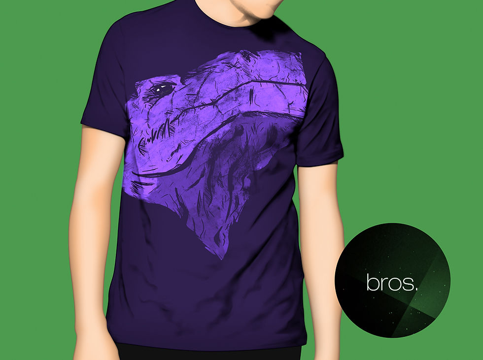 Camiseta Bros.