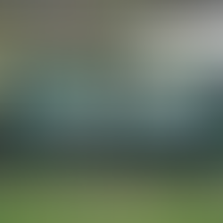 ASD Chiampo: la Juniores trionfa nel campionato regionale