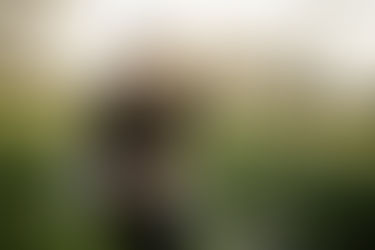 10 days until the World Series kicks off - what happened since February?