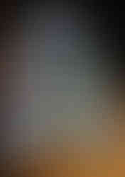 verrière de l'arbre de Jessé